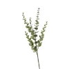 New Depot Zweig Eukalyptus Modern Ca.74Cm, Creme