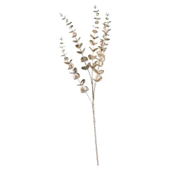 Zweig Eukalyptus Modern Ca.74Cm, Creme^Depot Sale