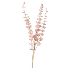 Zweig Eukalyptus Modern Ca.74Cm, Creme^Depot Shop