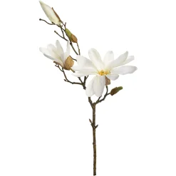 Store Depot Zweig Magnolie Ca.48Cm